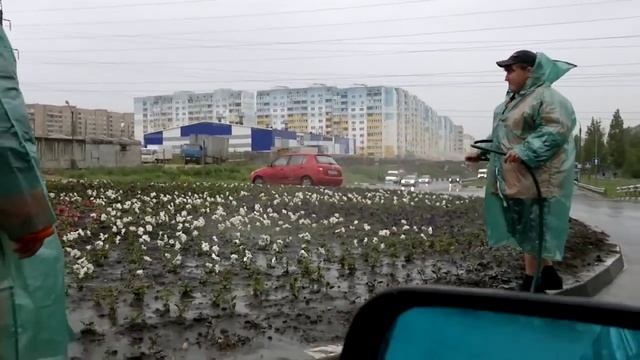 Полив цветов во время дождя смотреть онлайн
