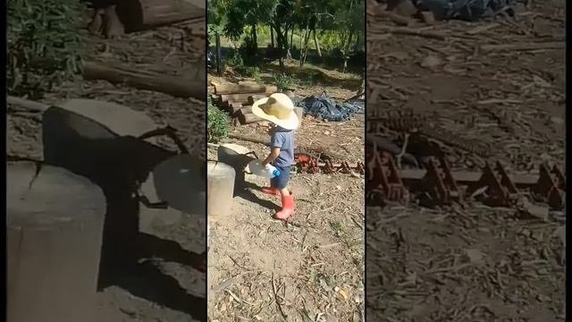 мужики рубят лес