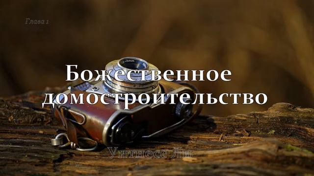 "Божественное домостроительство" Уитнесс Ли глава 1