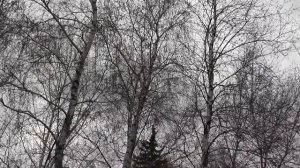 Улицы Старого города. Краматорск