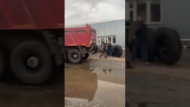 Шины 16.00R20 AEOLUS на самосвале MAN TGS 40.440
