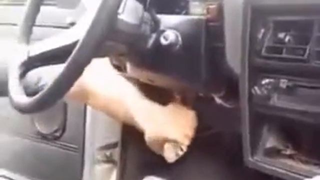 Страшный сон любого водителя смотреть онлайн