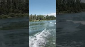 Катер Борус