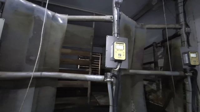 Еще раз про доильный зал и ловушку для мух смотреть онлайн