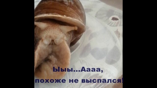 И ТАК КАЖДОЕ УТРО!.mp4 смотреть онлайн