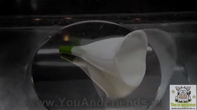 Воронка для жидкостей и не только - FillaLily смотреть онлайн