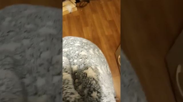 Бескаркасное кресло своими руками! Результат