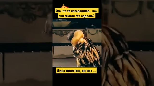 Номер с шубой в цирке! Как они смогли это сделать?!!