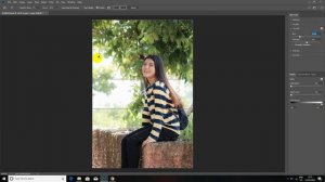 How to Professional  Blur Background and Color Correction
