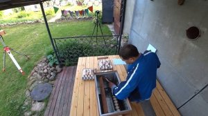 Эксперимент по инкубации кур несушек. Каков срок хранения инкубационного яйца?