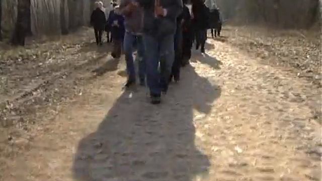 Учебный год в Чеховщине начался с крестного хода смотреть онлайн