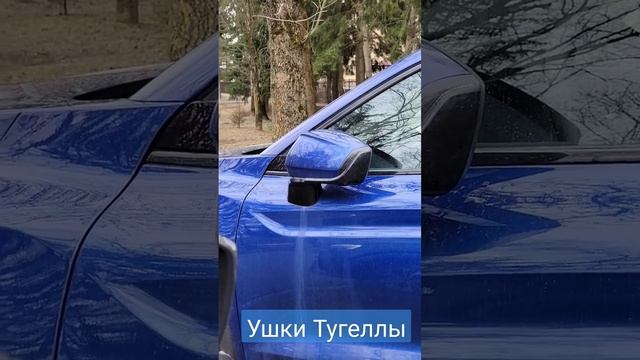 Ушки Джили Тугелла #Geely #geelytugella #шкодакодиак