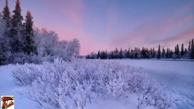 НЕЛЮБИМЫЕ..?Хороший стих про нелюбимых..