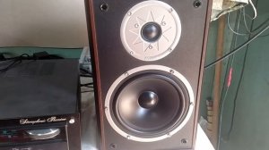 MAGNAT Monitor Supreme 200, quick demo (ШВИДКЕ ДЕМО)