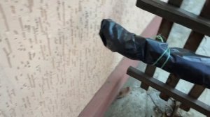 Укрытие винограда осенью.