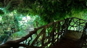 ПЕРЕГОН АВТО ИЗ ВЛАДИВОСТОКА : ПРОГУЛКА // КУПИЛ ПОГНАЛ