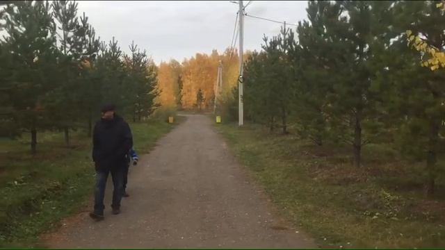 Парк 300-летия Омска смотреть онлайн