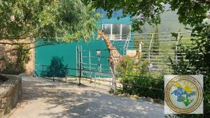 Растения зоологического парка "Сказка". Крым