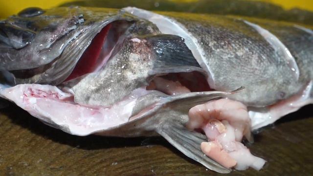 Amazing skills fish-cutting master (flatfish, mullet Sashimi) / Korean Street Food смотреть онлайн