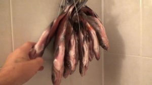 Мой рецепт,засолки и сушки рыбы.