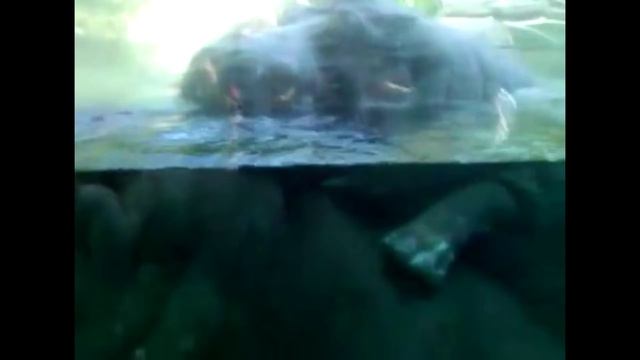 Спаривание | Андрей Клад смотреть онлайн