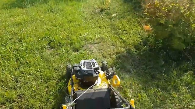 Самоходная газонокосилка Champion LM5345BS. Впечатления год спустя.