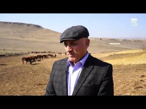 Сельский кластер - АО племенной конный завод "Карачаевский" Хусейна Каракетова (11.03.2020)