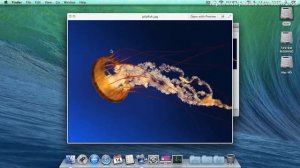 Как листать фотографии в Mac OS How to cycle through pictures on Mac OS