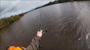 Новичкам везёт. Рыбалка на спиннинг в августе. Река Вятка