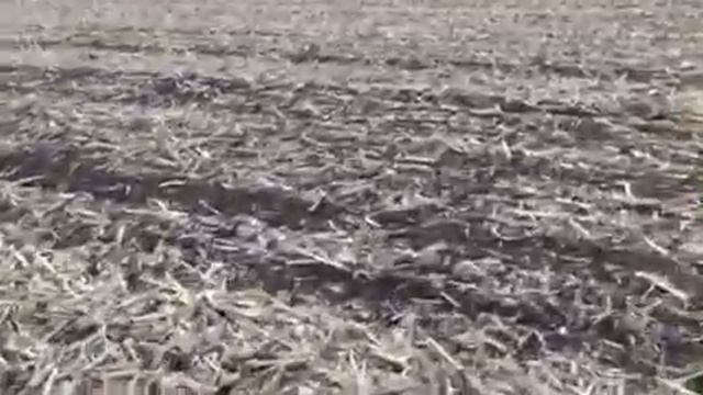 Прототип культиватора для вертикального обробітку ґрунту. смотреть онлайн