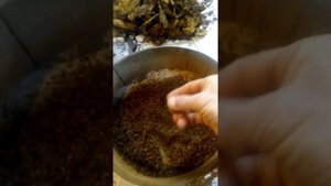 махорка без опилок( стебля) ароматная приправа для табака.