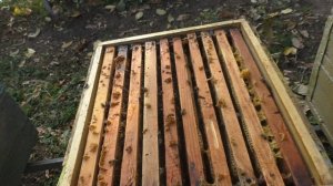 УБИЙЦА КЛЕЩА. Обработка пчел осенью МАВРИКОМ.