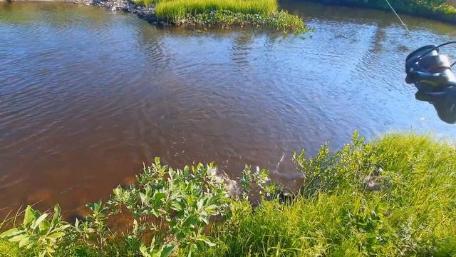 Исследую тундровые ручьи. Нашёл окаменелости и железный наконечник стрелы. 3 дня, 47 км, жара и гну смотреть онлайн