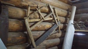 СИЗЬМА. Вологодская область (2021)