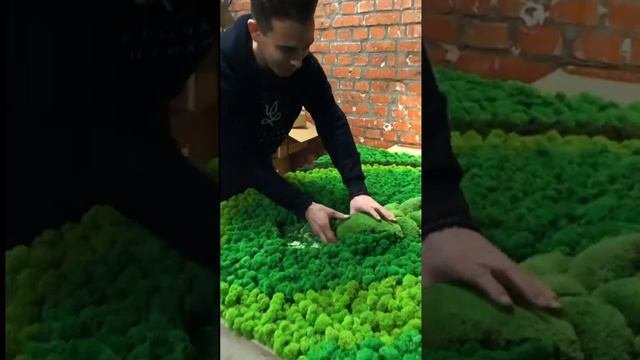 Сделали пано из стабилизированного мха