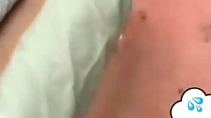 ЖИРОВИКИ № 13