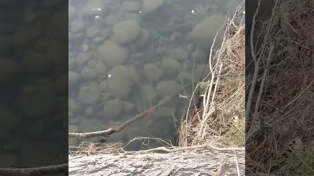 Малый Зеленчук смотреть онлайн