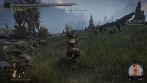 ✅ ELDEN RING 1.09:▶ Где найти все слёзы личинок. Гайд! ✅