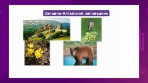 Русский язык. 2 класс. Понятие о словосочетании. Заповедники Казахстана /15.04.2021/