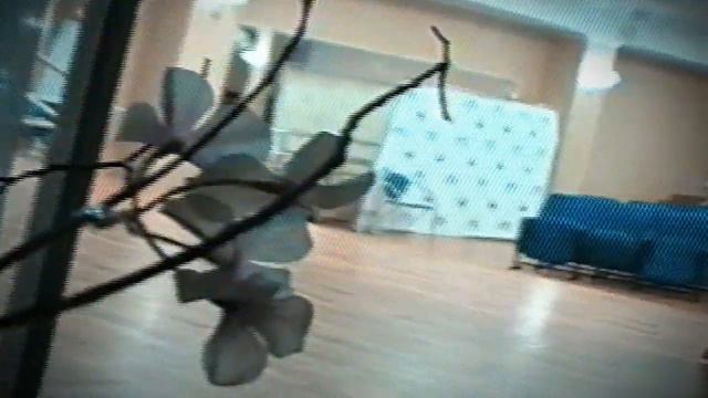 Последний звонок онлайн 2020 , Ростов-на-Дону смотреть онлайн