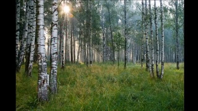 Где Берёзоньки Шумят(Арина Чугайкина) поёт Екатерина Мищенкова
