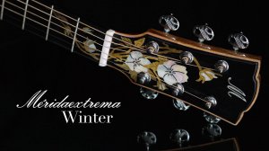 Акустическая гитара Meridaextrema Winter