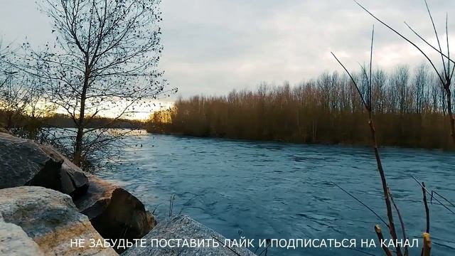 Шокирующий поступок...Аудорассказ. История из жизни. Истории о людях