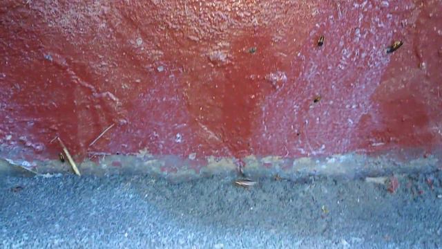 Домодедово, улица Зеленая, дом 89 смотреть онлайн