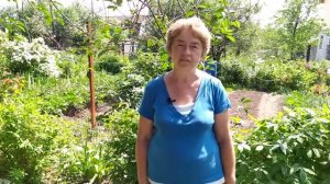 ЖИМОЛОСТЬ СЪЕДОБНАЯ - САМАЯ РАННЯЯ ЯГОДА. ПОЛЕЗНЫЕ СВОЙСТВА, СОРТА, ТРЕБОВАНИЯ К ПОСАДКЕ.