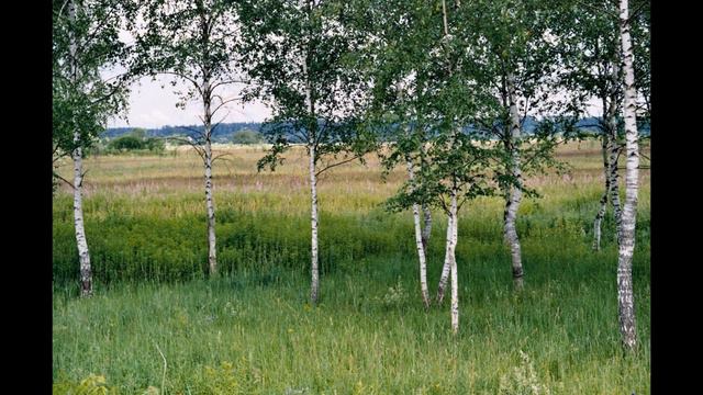 Борис Васильев - Алаас ахтыл5ана смотреть онлайн