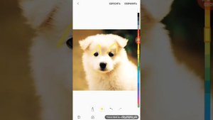 Песня туц туц