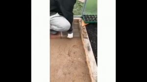 Укладка тротуарной плитки в теплице