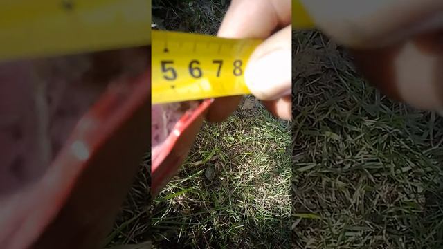 кузовные размеры кия рио 2 (2часть) смотреть онлайн