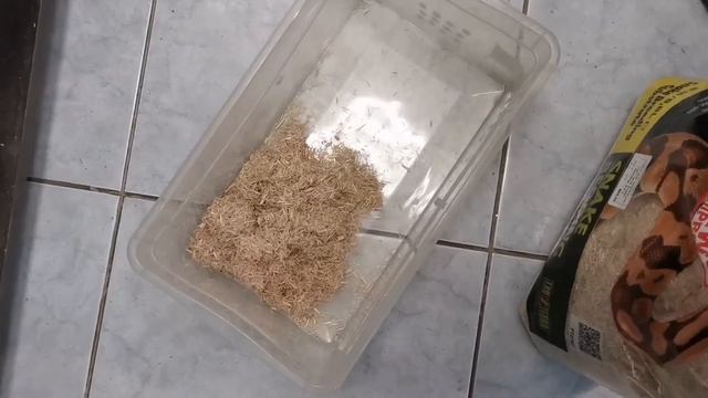 Субстрат SNAKE BEDDING / субстрат для змей / а вы знали?